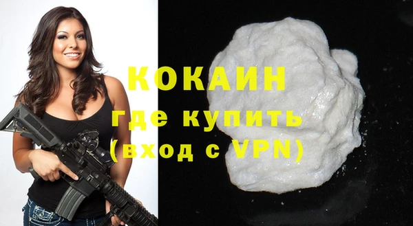 твердый Вяземский