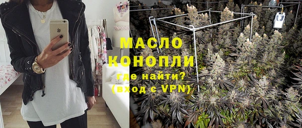 твердый Вяземский