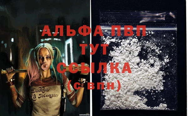 твердый Вяземский
