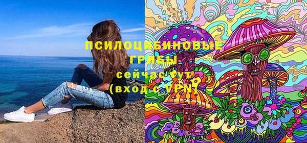 спиды Вязьма