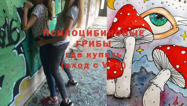 твердый Вяземский