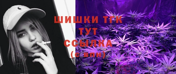 спиды Вязьма