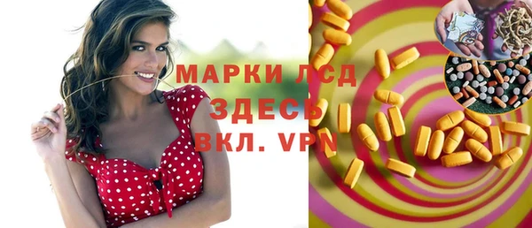 твердый Вяземский